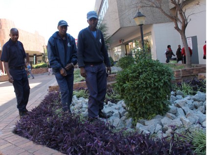 Randburg Management District's staff inspect one of the areas that have been turned into a garden in order to beautify the mall.